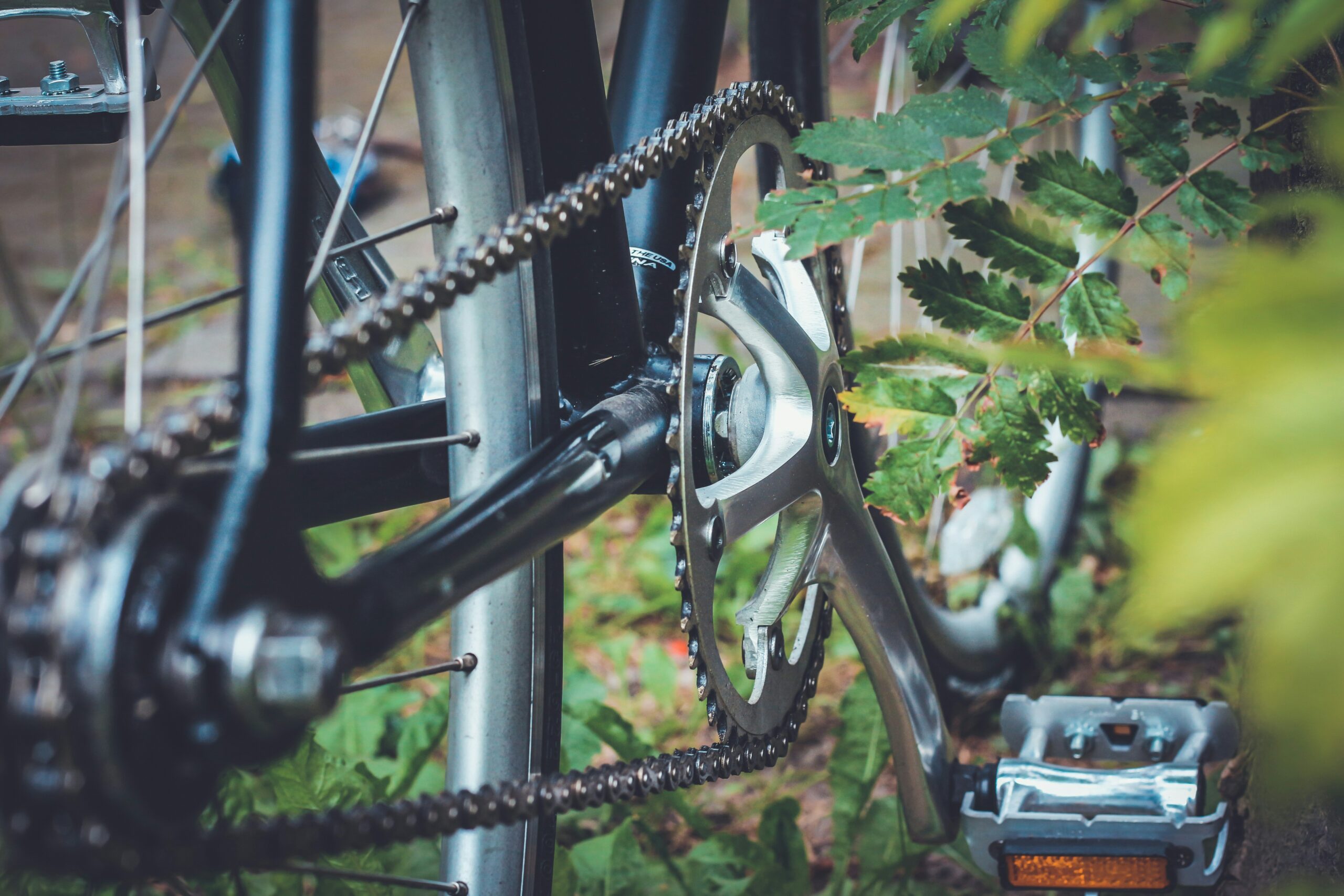 Image of a bicycle showing chain and chain ring